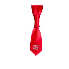 I believe in Santa Paws Collar Tie that Slips Onto Your Dogs Existing Collar (Small 8 inch)