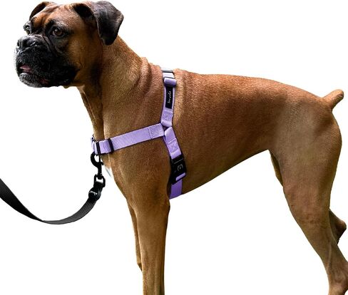 ShawnCo Dream Walk No-Pull Dog Harness- Adjustable, Comfortable, Easy to Use Pet Halter to Help Stop Pulling for Small, Medium and Large Dogs (ICY Lilac, M) in Kuwait
