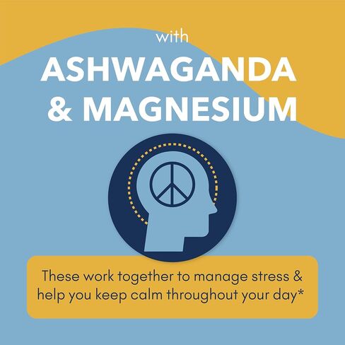 Mindful Morning Sugar Free Hot Chocolate Mix with Organic Ashwagandha and Magnesium Supplements to Relax the Mood and Calm the Mind, Natural Stress Relief Supplement Hot Cocoa in Saudi Arabia