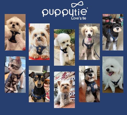 Puppytie No Pull Dog Harness with Multifunction Dog Leash,Soft Adjustable No Choke Escape Proof Pet Harness Vest for Medium Dogs,Denim Light Blue,M in Saudi Arabia