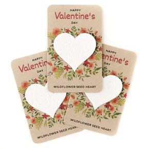 24 PCS Party Favors Wildflower Flower Seed Cards For School Classroom Exchange Prizes Gifts