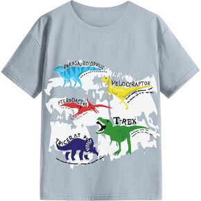 Boys T Shirts, Toddler Boys Graphic Tees, Boys Short Sleeve Tee Shirts Tops for 3-8 Years Kids
