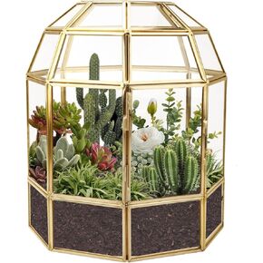 HighFree Large Glass Birdcage Terrarium Handmade, Clear Centerpiece Display Box, Indoor Terrariums for Succulent, Cacti, Air Plants, Miniature Fairy Garden (7x7x9 inch)