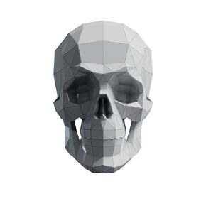 Human Skull Paper Sculpture,Pre-cut DIY Papercraft Kit,Handmade Real Size Anatomy,White Color,Low Poly Home Decor,All Accessories Included