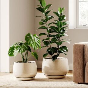 LE TAUCI Ceramic Plant Pots, Set of 2, 10 Inch 12 Inch Planters for Indoor Plants, Elegant Decorative Flower Pot, Sturdy Large Planter with Drainage Tray, Suitable for Porch, Reactive Glaze Beige