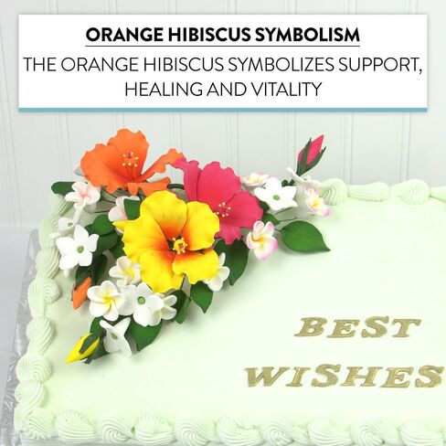 Global Sugar Art Premium Hibiscus Sugar Cake Flower Spray Orange, 1 Count by Chef Alan Tetreault in Kuwait