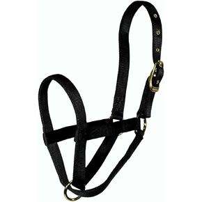 Hamilton Calf Turn Out Halter, Blue