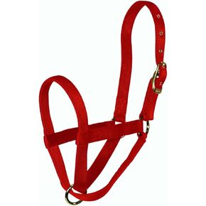 Hamilton Calf Turn Out Halter, Blue