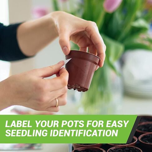 Royal Green Rectangular Stickers Color Coded Write on Labels for Organizing, Moving, & Mailing, 3x1 inch Stickers Writable Label for File Folder Tabs 120-Pack (White) in Kuwait