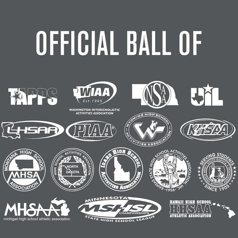Baden | Perfection | Premium Leather | Indoor Official Game Volleyball | 13U to College | Official Size + Weight | NFHS + AVCA Approved in Saudi Arabia