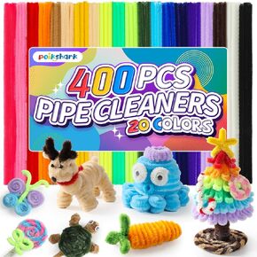 400 PCS 20 Colors Thick Pipe Cleaners Craft, Multi-Colored Chenille Stems for Craft Supplies & Materials, Fuzzy Pipe Cleaners Bulk for DIY Arts Projects, Rainbow Pipe Cleaners(12inch*6mm)