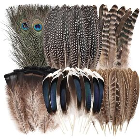 Natural Feathers Bulk 55pcs - DIY Crafts, Wedding, Crafting Supplies