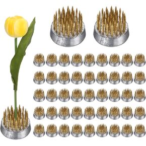 M meterxity 24 pack Flower Frog 0.9 "Round Round Brass Flower Pins Flower Frog Flower Flower Tools Flex Floral Frog for الترتيبات المزهرية/الديكور النباتي/ديكور المنزل [1.1 سم الدبابيس]