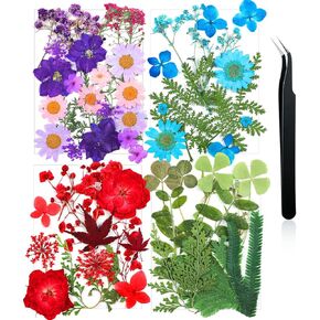 Nuanchu Pressed Flowers Bulk Dried Flower for Crafts, Dried Wildflowers Leave Natural with Tweezer for Resin Mold Scrapbooking Nail Soap Making DIY(Elegant Style,Bright Colors)
