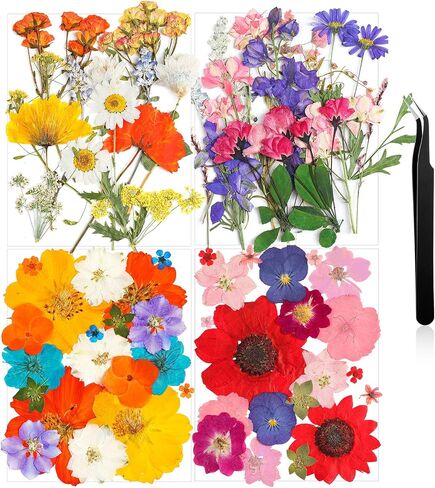 Nuanchu Pressed Flowers Bulk Dried Flower for Crafts, Dried Wildflowers Leave Natural with Tweezer for Resin Mold Scrapbooking Nail Soap Making DIY(Elegant Style,Bright Colors) in Saudi Arabia