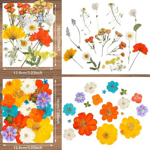 Nuanchu Pressed Flowers Bulk Dried Flower for Crafts, Dried Wildflowers Leave Natural with Tweezer for Resin Mold Scrapbooking Nail Soap Making DIY(Elegant Style,Bright Colors) in Saudi Arabia