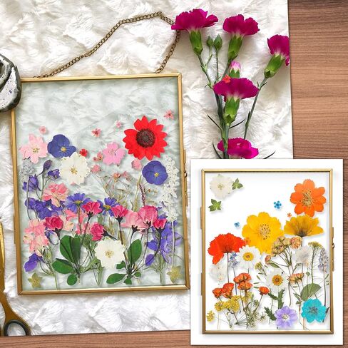 Nuanchu Pressed Flowers Bulk Dried Flower for Crafts, Dried Wildflowers Leave Natural with Tweezer for Resin Mold Scrapbooking Nail Soap Making DIY(Elegant Style,Bright Colors) in Saudi Arabia