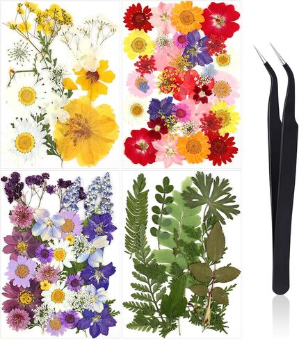Nuanchu Pressed Flowers Bulk Dried Flower for Crafts, Dried Wildflowers Leave Natural with Tweezer for Resin Mold Scrapbooking Nail Soap Making DIY(Elegant Style,Bright Colors) in Saudi Arabia