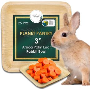 أوعية طعام أرنب من أوراق النخيل التي يمكن التخلص منها - لعبة Bunny Phet Toy Bowl طبيعية آمنة من الخيزران الخشبي الخشبي مثل وعاء للأرانب والأرانب والخنازير الغينية (حزمة من 25 ، 3 "وعاء مربع)