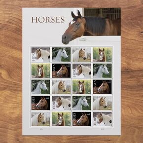 Horses 2024 (Sheet of 20) First-Class Mail Forever Postage Stamps
