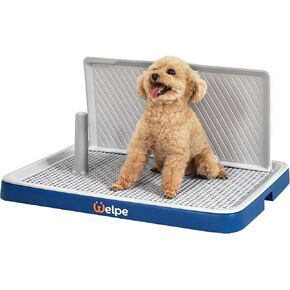Dog Potty Tray with Pee Pad Holder - Perfect Indoor Potty Training Solution for Small and Medium Dogs. Say Goodbye to Messy Floors and Enjoy Stress-Free Training Success!
