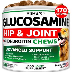 Glucosamine for Dogs - Hip and Joint Supplement for Dogs - 170 Ct - Glucosamine Chondroitin Chews - Joint Pain Relief Supplement with MSM - Advanced Health - Mobility Support - Made in USA