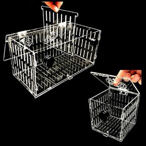 Magnetic Acclimation box Large / 16x6x8