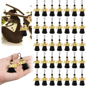 60 Pcs 2025 Mini Tassels for Craft 2.4inch Mini Graduation Tassels Graduation Party Favors Mini Bookmark Tassels Mini Tassels for Graduation Decor, Chocolates Decor, Keychain Making (Black)