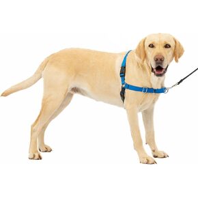PetSafe Easy Walk No-Pull Dog Harness - The Ultimate Harness to Help Stop Pulling - Take Control & Teach Better Leash Manners - Helps Prevent Pets Pulling on Walks, Large, Royal Blue/Navy Blue