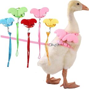 QBLEEV Pet Cole Duck Outside Walking Harness Leash, Adjustable Outdoor Training Traction Rope for Goose Chicken Hen