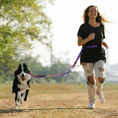 الورود والشعر اليدين مقود الكلب الحرة للكلاب الكبيرة المتوسطة الكلاب الثقيلة ، لا سحب الكلب الكلب يركض الخصر المقود للمشي التدريب مع حزام مقعد السيارة 4-6 أقدام in Kuwait