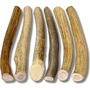 WhiteTail Naturals - Antlers for Small Dogs (6 Pack) Deer Antler Dog Chew Bones for Small Aggressive Chewers - Long Lasting Horn Chew Toys - Naturally Shed