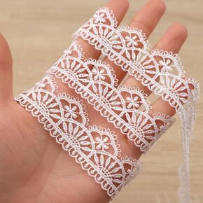 White Lace Trim Delicate Embroidery Lace Trim Venice lace for Decoration Edging Crafts Veils (White, 0.98 Inch)