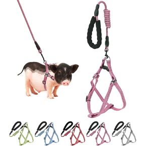 YeeBeny Mini Pig Harness Adjustable with Leash Foam Handle Pink, M in Saudi Arabia