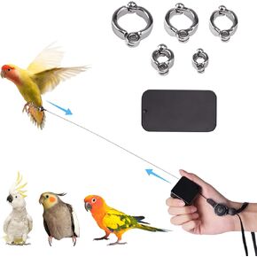 6.5Ft Bird Leash, with 5 Different Size Foot Ring and Feeder Box, Retractable Anti-Bite Parrot Harness, Bird Flight Training Rope for Budgies,Cockatiels,Psittacula Longicauda,Mini Macaws