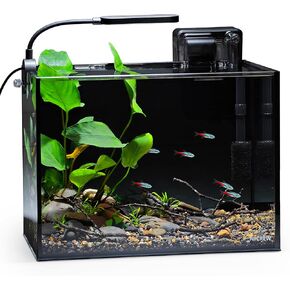 NICREW Nano Nature Aquarium Kit, 2.5 Gallon, Complete Version, Ultra-Clear Rimless Desktop Fish Tank with Filter, Light, Natural Gravel, River Rock and Starter Guide