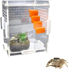 2 Pack Mini Magnetic Staircase for Spoods Jumping Spiders Enclosure Decorations Jumping Spider Staircase Jumping Spider Climbing Accessories