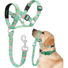 Dog Head Collar, Printed No-Pull Headcollar, Adjustable Dog Head Halter Gentle Lead with Safety Link, 3 Colors Muzzle Leash for Small Medium Large X-Large Dogs Easy Walks(Large, Mimosa)