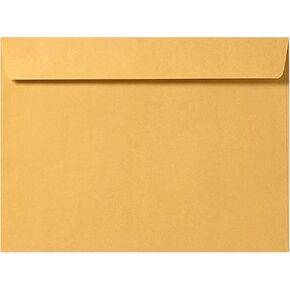 Brown Kraft Booklet Envelopes on 28lb. Pack of 50 (6 x 9)