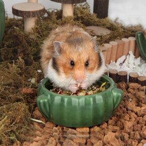 BUCATSTATE Food Bowl for Hamster 2PCS Cactus Drinking Bowl Waterproof Food Dish Ceramic Feeding Bowls for Small Animals, Birds, Guinea Pig, Chipmunk