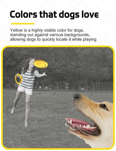 Dog Flying Disc Toy， Soft Indestructible Dogs Flying Disc Pack ，for Aggressive chewers Medium Large Dog (1Flying Disc+1Ring) in Saudi Arabia