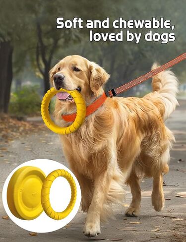 Dog Flying Disc Toy， Soft Indestructible Dogs Flying Disc Pack ，for Aggressive chewers Medium Large Dog (1Flying Disc+1Ring) in Saudi Arabia