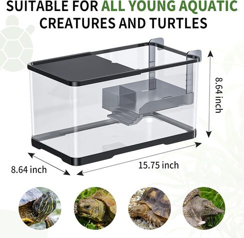 (Tank + Light + Filter + Filter Balls) Turtle Tank Kit, Turtle Tank Starter Kit,Bottom Drainage, Multi-Function Areas for Turtles, Crabs,Fishes, Amphibians,Reptiles. (15.75 x 8.64 x 8.64 Inch) in Saudi Arabia