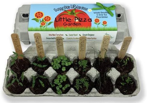 Backyard Safari Company Sunny-Side Up Gardens ، Little Pizza Garden in Kuwait
