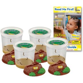 Insect Lore Funtastic 4 Cups of Caterpillars