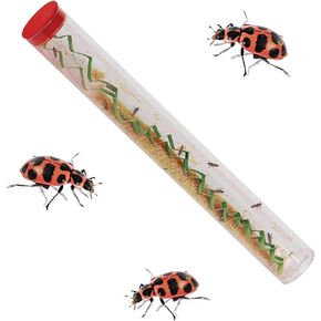 Insect Lore Tube of Ladybug Larvae | 10-15 Live Pink Spotted Ladybug Larvae | Grown in USA | Habitat Refill