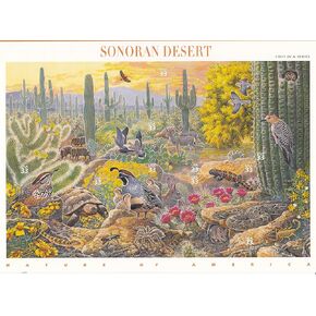 Postage Stamp US Scott 3293 Sonoran Desert Full Sheet of Ten 33 Cent Stamps
