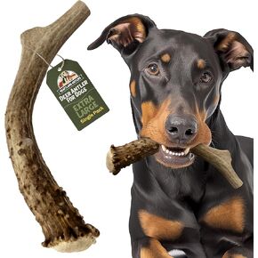 Heartland Deer Antlers for Dogs - Grade A, Naturally Shed Antlers | Dog Bones for Aggressive Chewers & Teething Puppies | Chew Toy for All Breeds | USA Made & Veteran Owned (Small: 4-5 Deer 2-Pack)