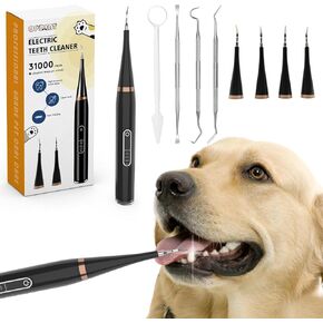 Plaque Remover for Teeth - Electric Toothbrush for Dogs Pet Brush Set,Electric Five Modes + 4 Cleaning Head, Effective Care of Teeth, pet Must Have, Help Dog Oral Health. (Black, Large)