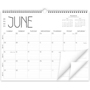 GuassLee Wall Calendar 2025, 2025-2026 Calendar Wall from Jun. 2025 to May 2026, 14" X 11" Paper Monthly Planner Wall Hanging Calendar with Thick Paper for Office Home Planning & Organizing